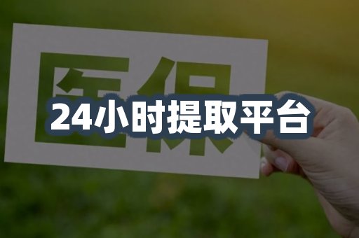 24小时提取平台